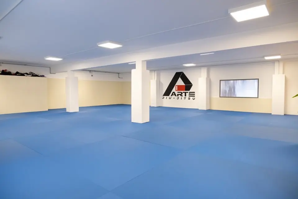 Arte Jiu Jitsu Nice