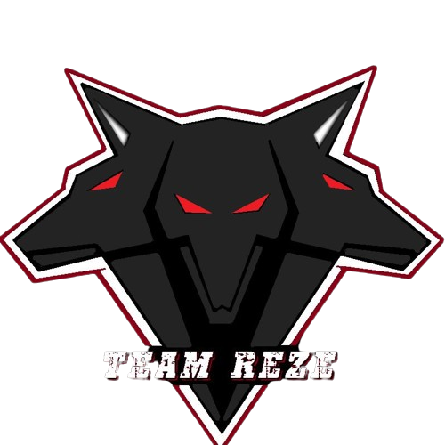 logo ZR Team