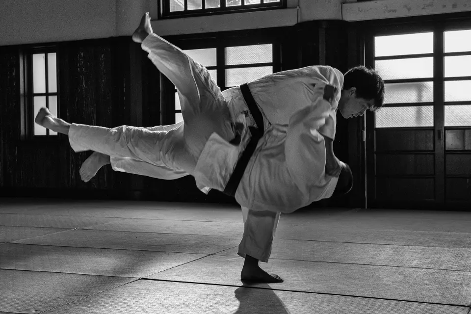 Principes du judo