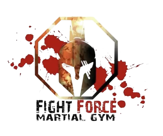 fight force mma montpellier